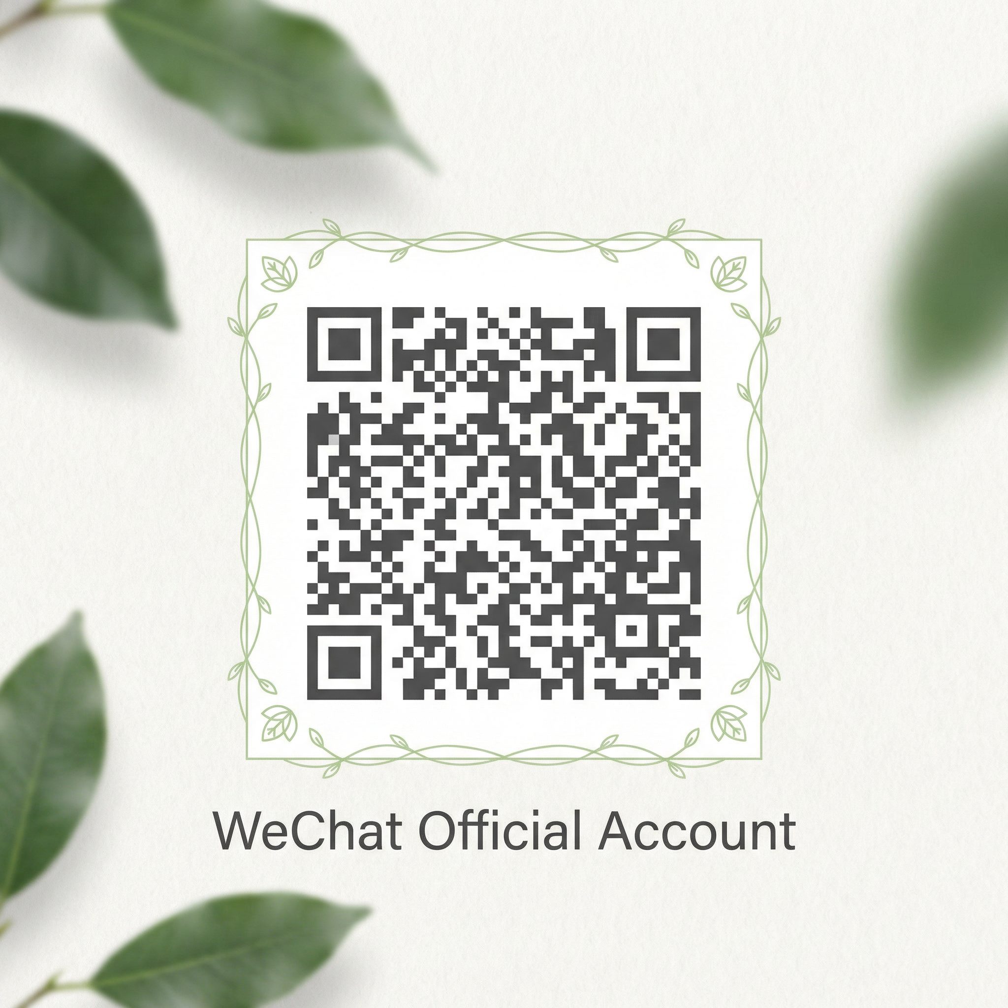 捷克街头公众号二维码